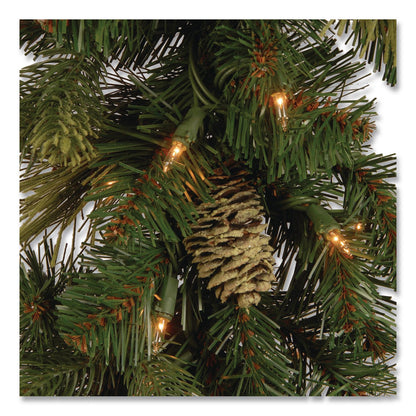 National Tree Company® Pre-Lit Carolina Pine Garland, AC Powered, Clear Incandescent Lights, 108" Long, Green (NTTCAP33069A1)