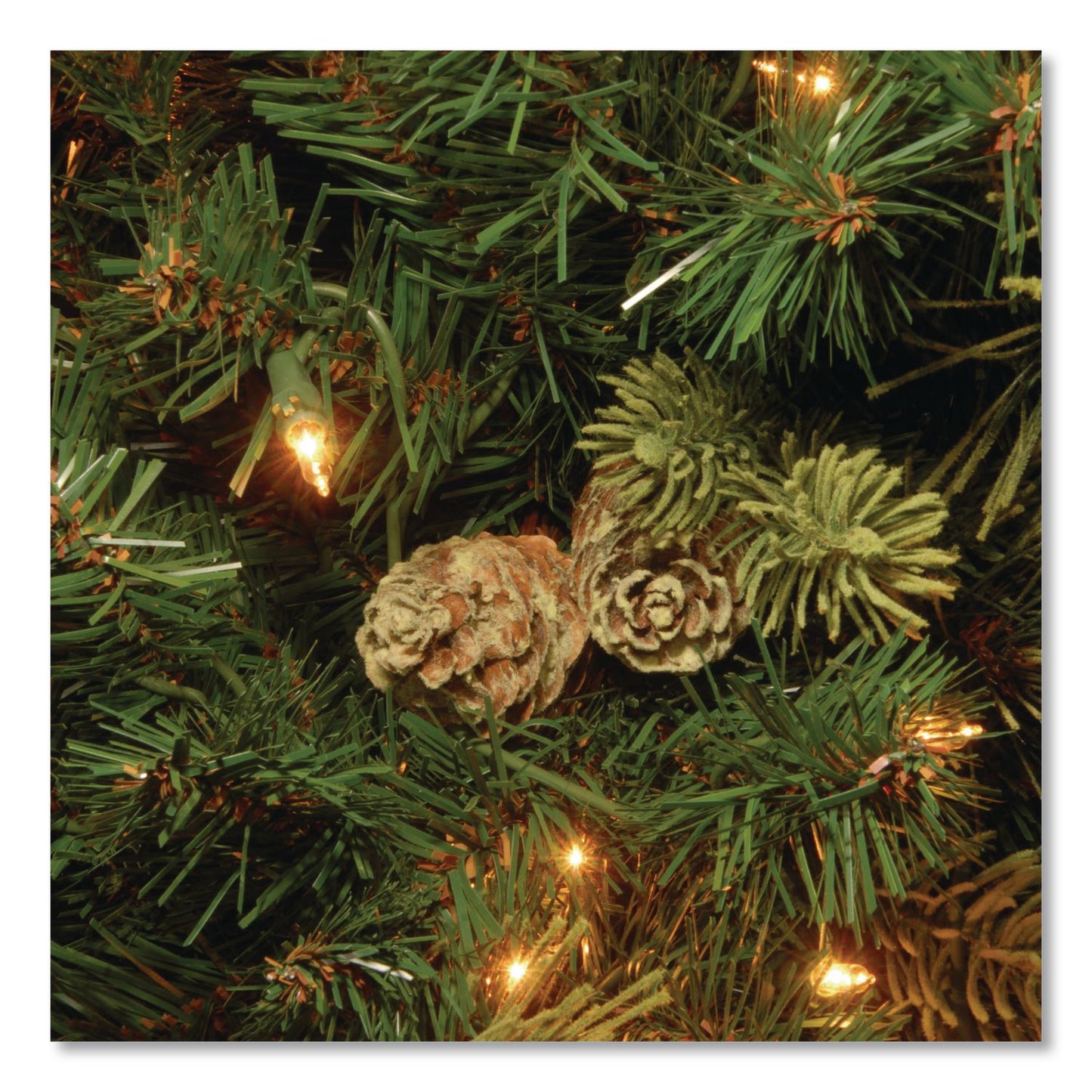 National Tree Company® Pre-Lit Carolina Pine Tree, 55" x 55" x 78", Green Tree, Green Tree Stand (NTTCAP330665)