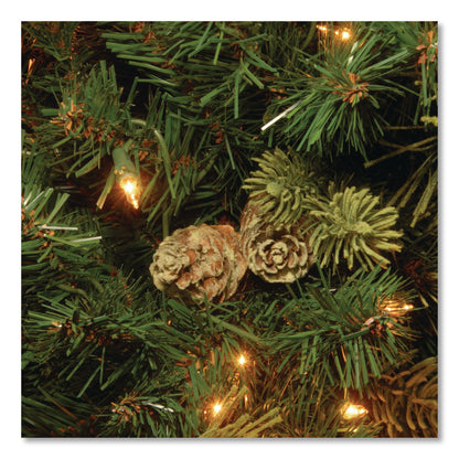 National Tree Company® Pre-Lit Carolina Pine Tree, 55" x 55" x 78", Green Tree, Green Tree Stand (NTTCAP330665)