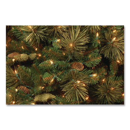National Tree Company® Pre-Lit Carolina Pine Tree, 58" x 58" x 84", Green Tree, Green Tree Stand (NTTCAP330670)