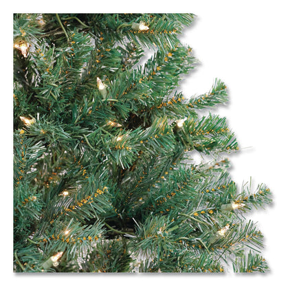 National Tree Company® Pre-Lit Acacia Tree, 37" x 37" x 70.8", Green Tree, Green Tree Stand (NTTAC10030860)