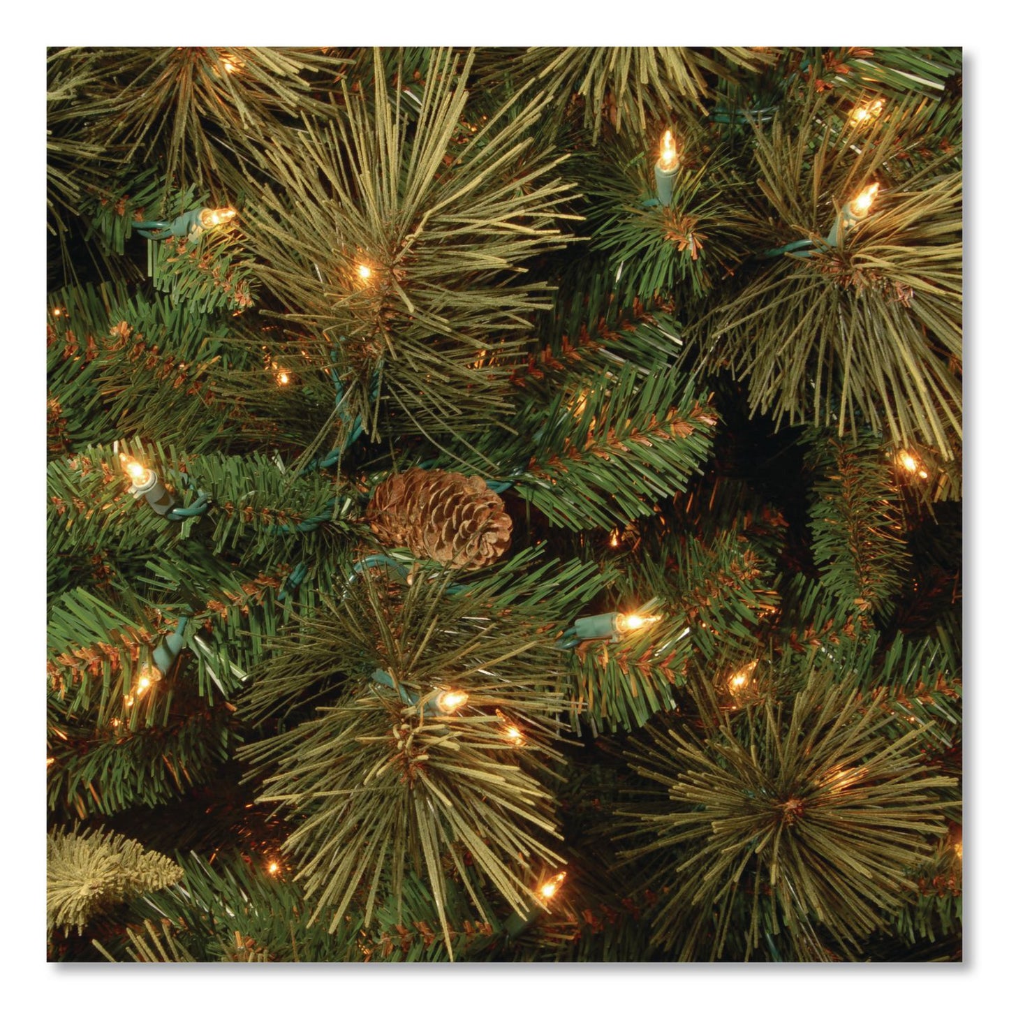 National Tree Company® Pre-Lit Carolina Pine Slim Tree, 29" x 29" x 78", Green Tree, Green Tree Stand (NTTCAP333065)