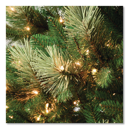 National Tree Company® Pre-Lit Charleston Pine Slim Tree, 50" x 50" x 108", Green Tree, Green Tree Stand (NTTCHR330490)