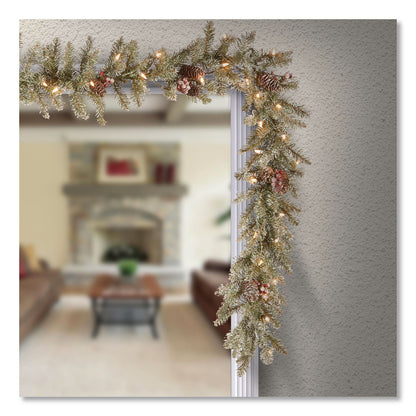 National Tree Company® Pre-Lit Dunhill Fir Garland, AC Powered, Clear Incandescent Lights, 108" Long, Green (NTTDUF3009A1)