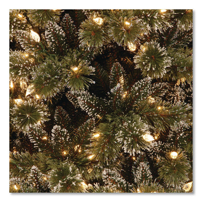 National Tree Company® Pre-Lit Glittery Bristle Slim Tree, 42" x 42" x 90", Green Tree, Green Tree Stand (NTTGB331975)