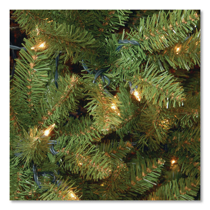 National Tree Company® Pre-Lit Kingswood Fir Tree, 55" x 55" x 90", Green Tree, Green Tree Stand (NTTKW7D5375)