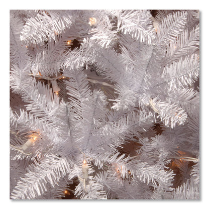 National Tree Company® Pre-Lit Kingswood Fir Pencil Tree, 28" x 28" x 78", White Tree, White Tree Stand (NTTKWW730065)