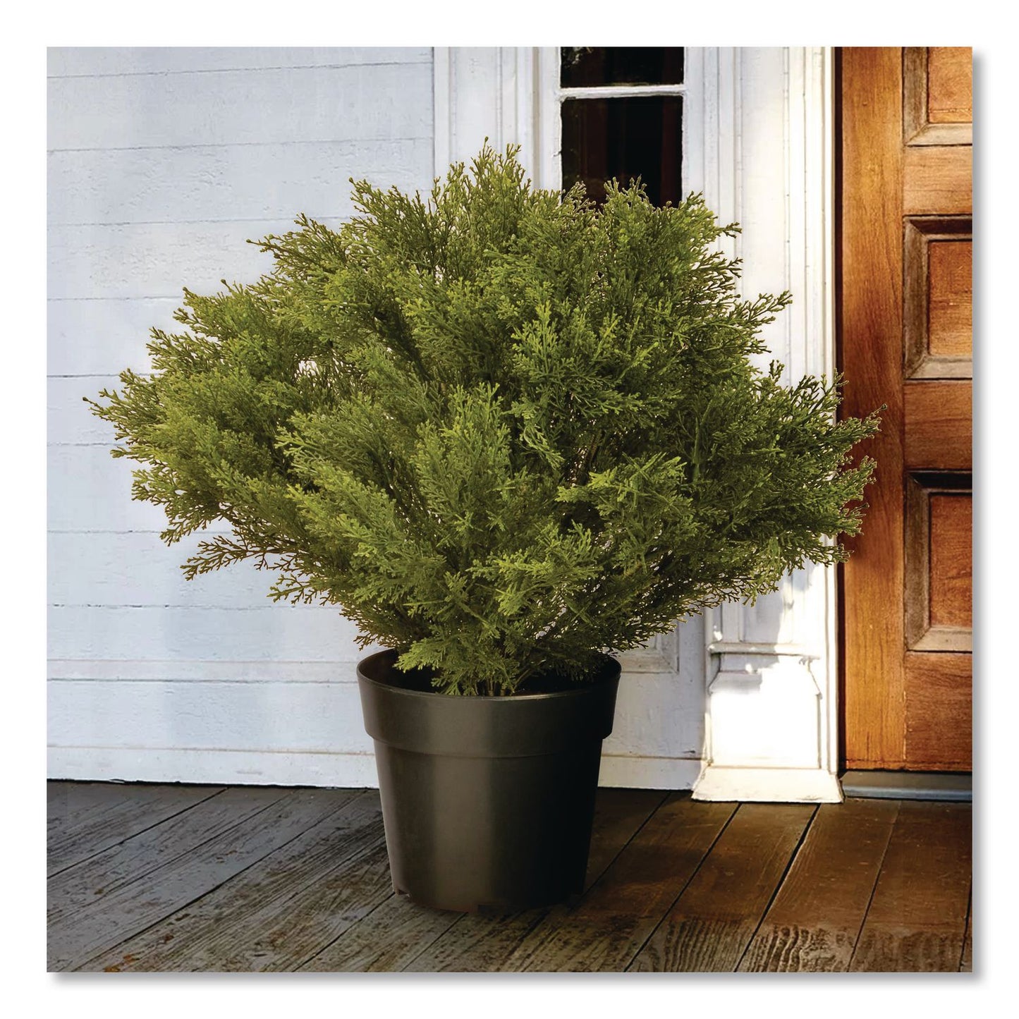 National Tree Company® Globe Juniper Topiary Tree, 20" x 28" x 20", Green Tree, Green Pot (NTTLCB828)