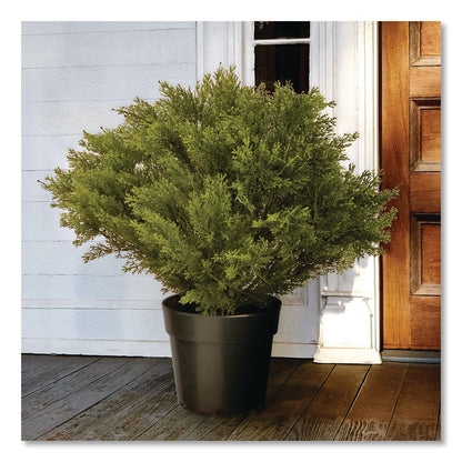National Tree Company® Globe Juniper Topiary Tree, 20" x 28" x 20", Green Tree, Green Pot (NTTLCB828)