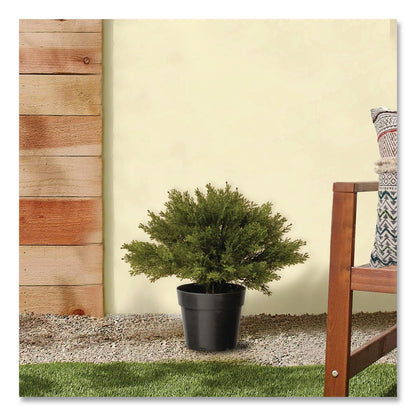 National Tree Company® Artificial Globe Juniper, 15" x 15" x 15", Green Plant, Green Pot (NTTLCB4151)