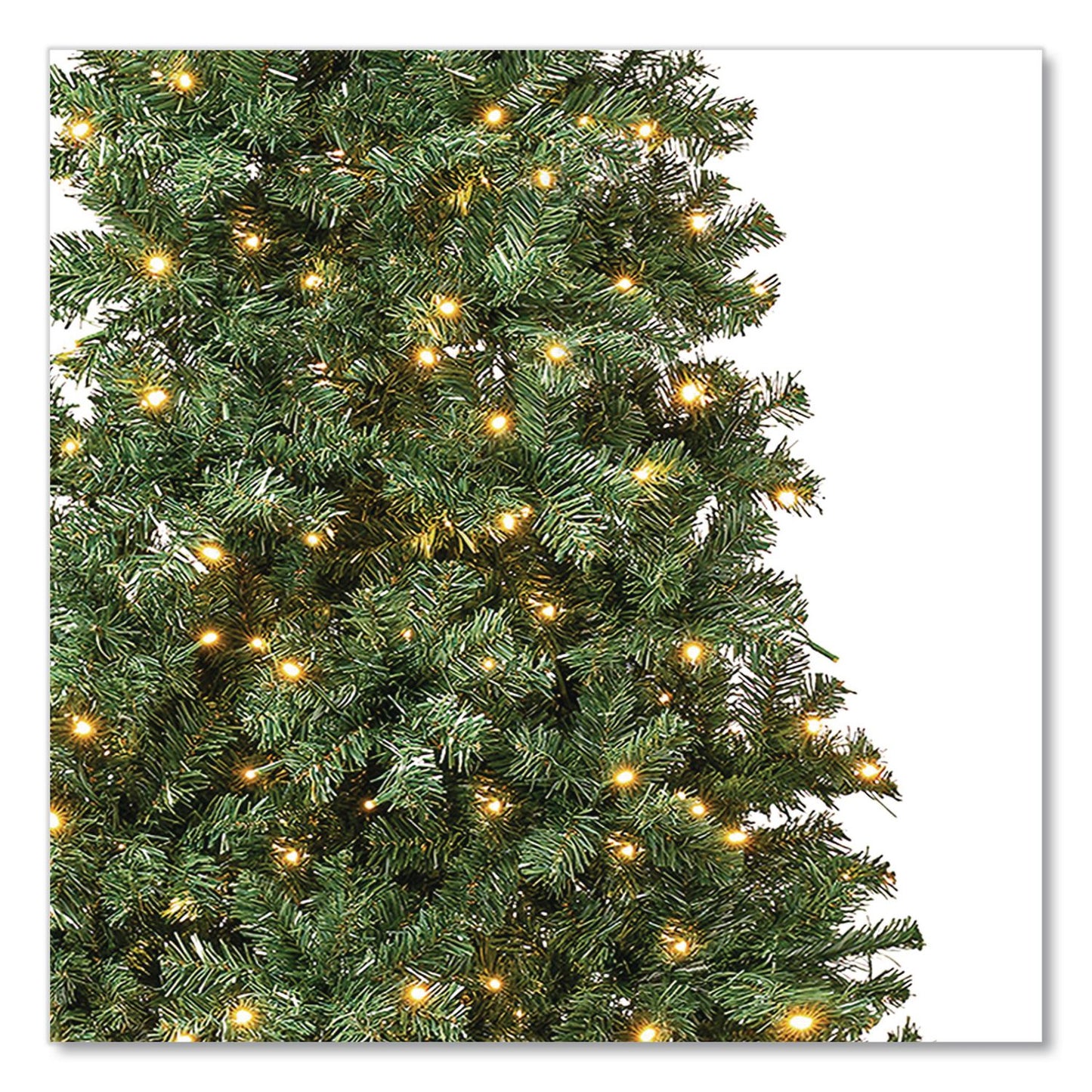 National Tree Company® Pre-Lit Linden Spruce Slim Tree, 31" x 31" x 90", Green Tree, Green Tree Stand (NTTLIN8304L75)