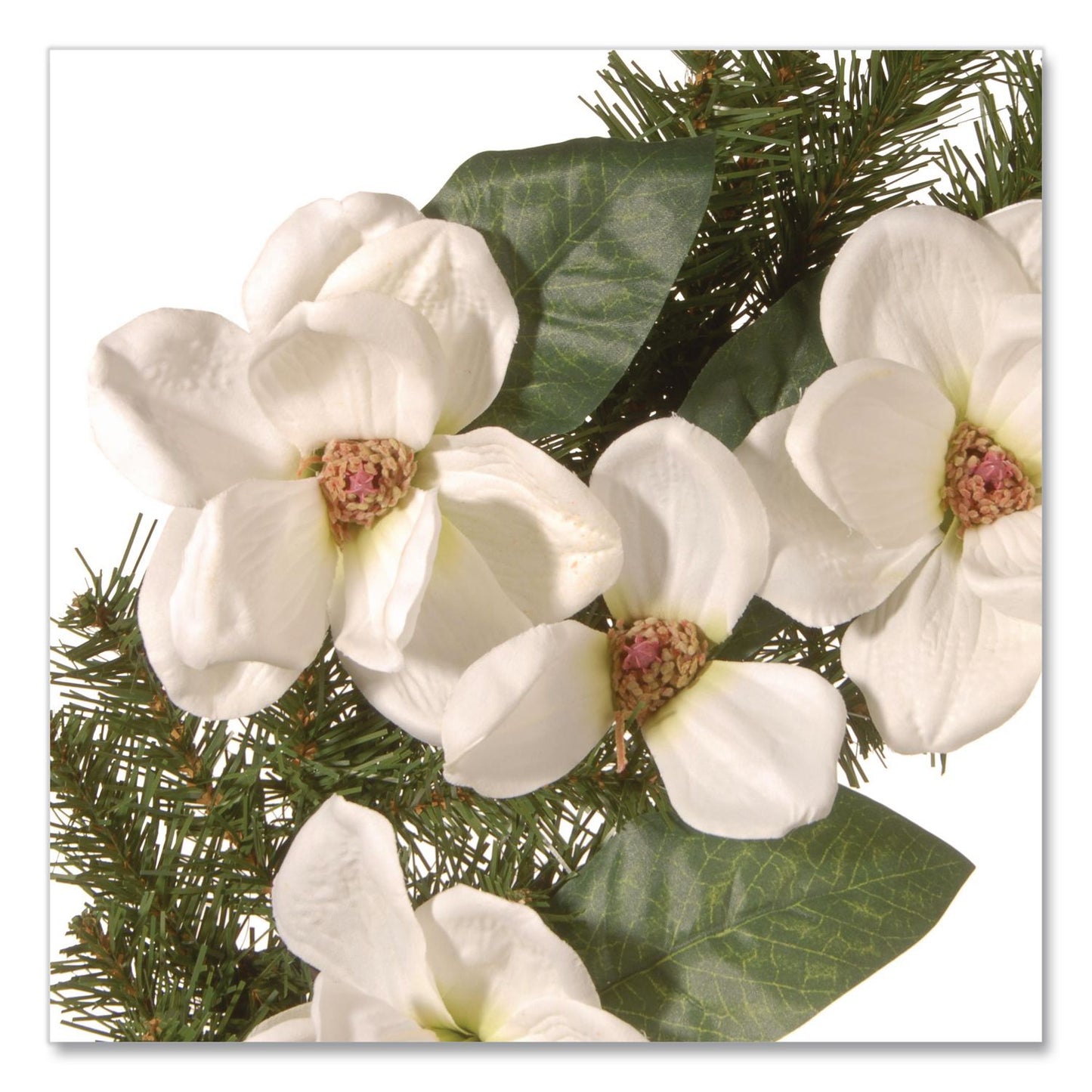 National Tree Company® North Valley Spruce Magnolia Wreath, 24" Diameter x 3.5"h, White (NTTNRV71324W)