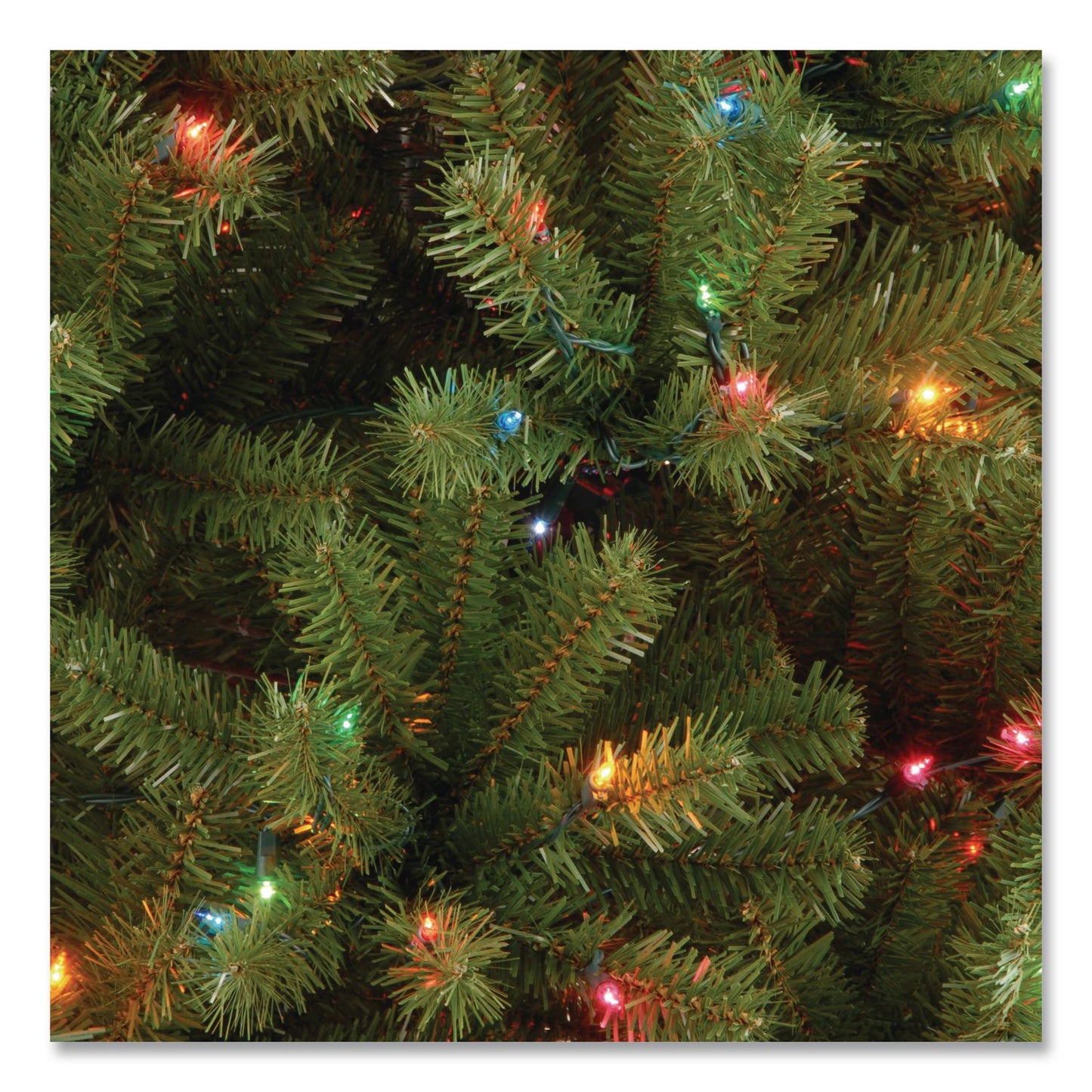 National Tree Company® Pre-Lit North Valley Spruce Tree, 47" x 47" x 84", Green Tree, Green Tree Stand (NTTNRV730170)