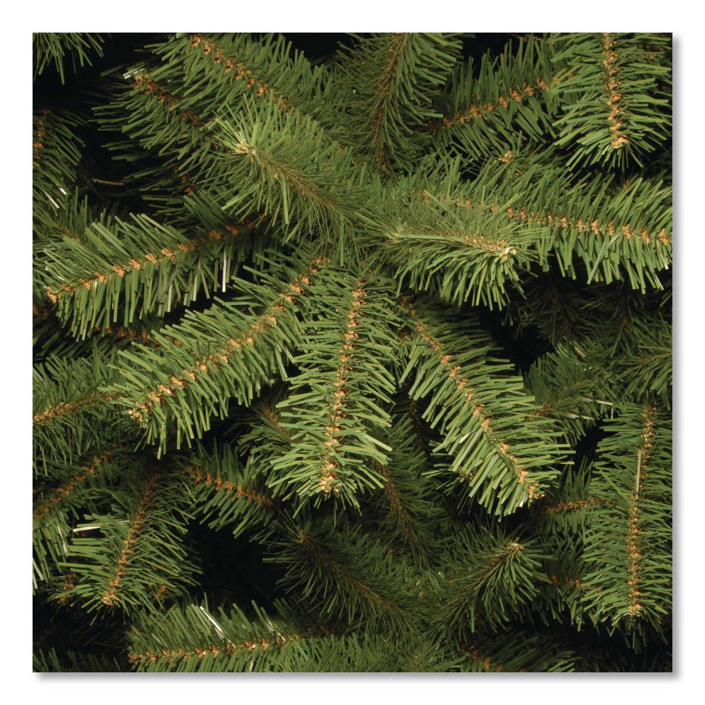 National Tree Company® North Valley Spruce Pencil Slim Tree, 32" x 32" x 90", Green Tree, Green Tree Stand (NTTNRV750575)