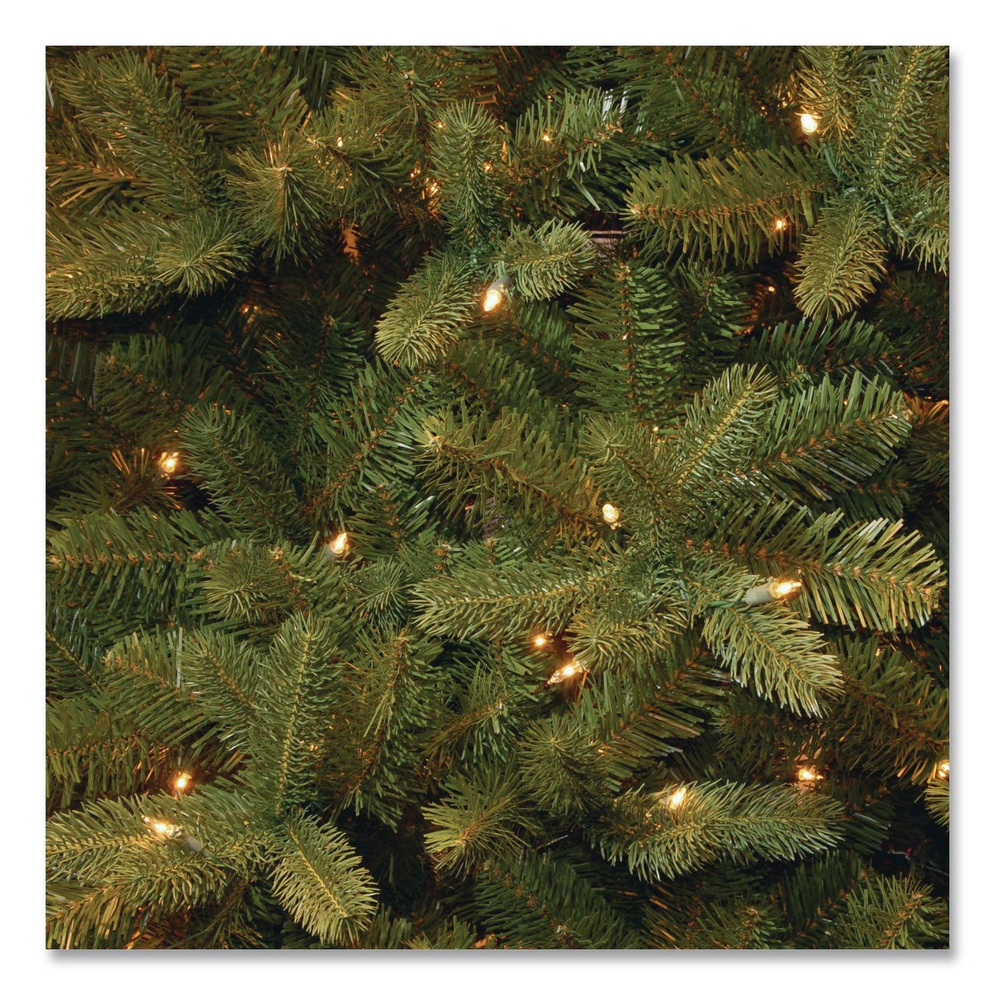 National Tree Company® Pre-Lit Downswept Douglas Fir Tree, 59" x 59" x 90", Green Tree, Green Tree Stand (NTTPEDD131275)