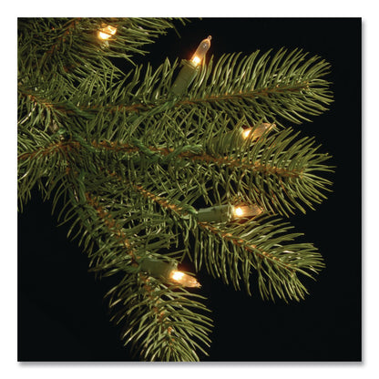National Tree Company® Pre-Lit Downswept Douglas Fir Pencil Slim Tree, 35" x 35" x 108", Green Tree, Green Tree Stand (NTTPEDD439290)
