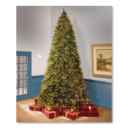 National Tree Company® Pre-Lit Downswept Douglas Fir Tree, 92" x 92" x 144", Green Tree, Green Tree Stand (NTTPEDD1312120)