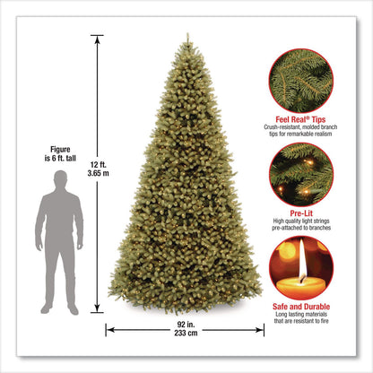 National Tree Company® Pre-Lit Downswept Douglas Fir Tree, 92" x 92" x 144", Green Tree, Green Tree Stand (NTTPEDD1312120)