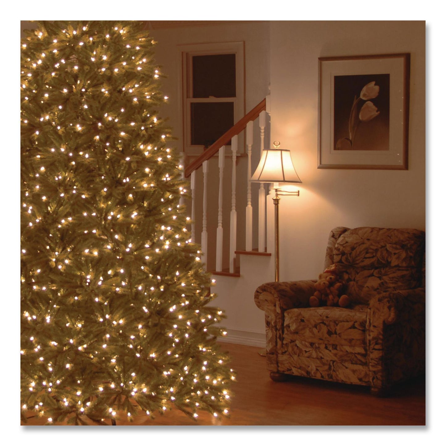 National Tree Company® Pre-Lit Jersey Fraser Fir Medium Tree, 48" x 48" x 78", Green Tree, Green Tree Stand (NTTPEJF130265)