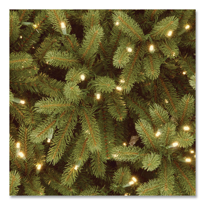 National Tree Company® Pre-Lit Jersey Fraser Fir Medium Tree, 48" x 48" x 78", Green Tree, Green Tree Stand (NTTPEJF130265)