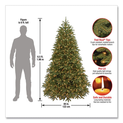 National Tree Company® Pre-Lit Jersey Fraser Fir Medium Tree, 48" x 48" x 78", Green Tree, Green Tree Stand (NTTPEJF130265)