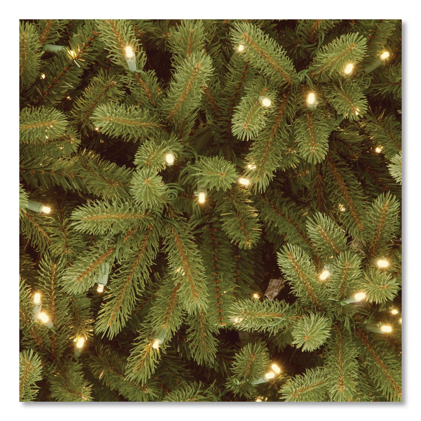 National Tree Company® Pre-Lit Jersey Fraser Fir Medium Tree, 56" x 56" x 90", Green Tree, Green Tree Stand (NTTPEJF130275)