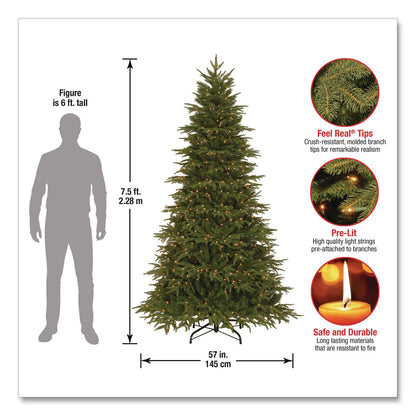 National Tree Company® Pre-Lit Northern Fraser Tree, 57" x 57" x 90", Green Tree, Green Tree Stand (NTTPENO430775)