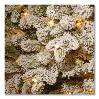 National Tree Company® Pre-Lit Snowy Everest Fir, 64" x 64" x 108", Green Tree, Green Tree Stand (NTTPEV331190)