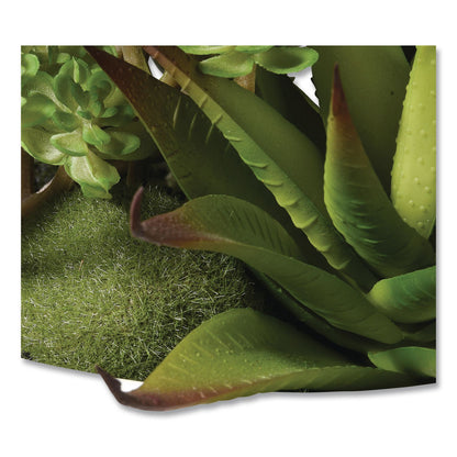 National Tree Company® Spring Potted Plant, 8" x 8" x 8", Green Plant, White Pot (NTTRASXF169W)