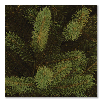 National Tree Company® Norway Fir Tree, 58" x 58" x 84", Green Tree, Green Tree Stand (NTTPENF150070)