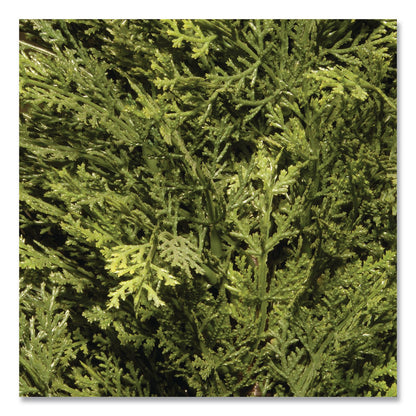 National Tree Company® Artificial Arborvitae, 13" x 13" x 60", Green Tree, Green Pot (NTTLMC4700601)