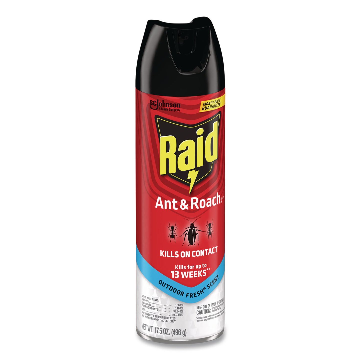 Raid® Ant and Roach Killer, 17.5 oz Aerosol Spray, Outdoor Fresh, 12/Carton (SJN386220)