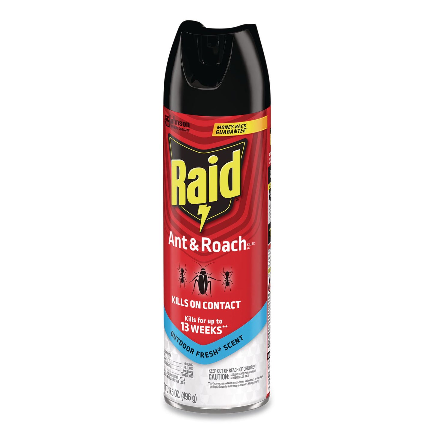 Raid® Ant and Roach Killer, 17.5 oz Aerosol Spray, Outdoor Fresh, 12/Carton (SJN386220)