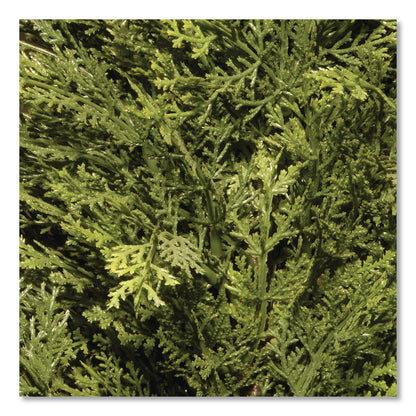 National Tree Company® Cedar Topiary Tree, 13" x 13" x 53", Green Tree, Dark Green Pot (NTTQLMC4531)