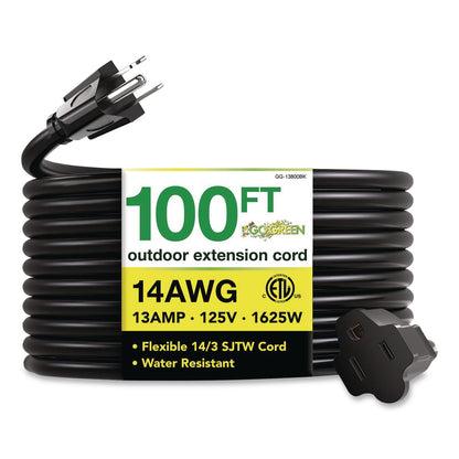 GoGreen Power 14 AWG Heavy-Duty Extension Cord, 100 ft, 13 A, Black (GGPGG13800BK)