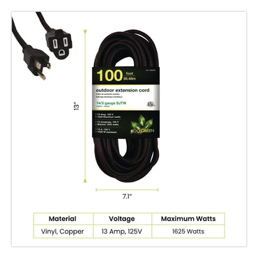 GoGreen Power 14 AWG Heavy-Duty Extension Cord, 100 ft, 13 A, Black (GGPGG13800BK)
