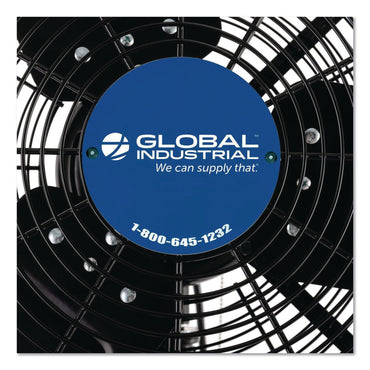 Global Industrial® 2 Speed Oscillating Outdoor Rated Wall Mount Fan, 30", Black (GBE292451)