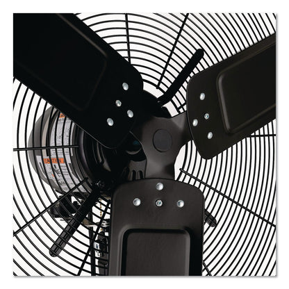 Global Industrial® 2 Speed Oscillating Outdoor Rated Wall Mount Fan, 30", Black (GBE292451)