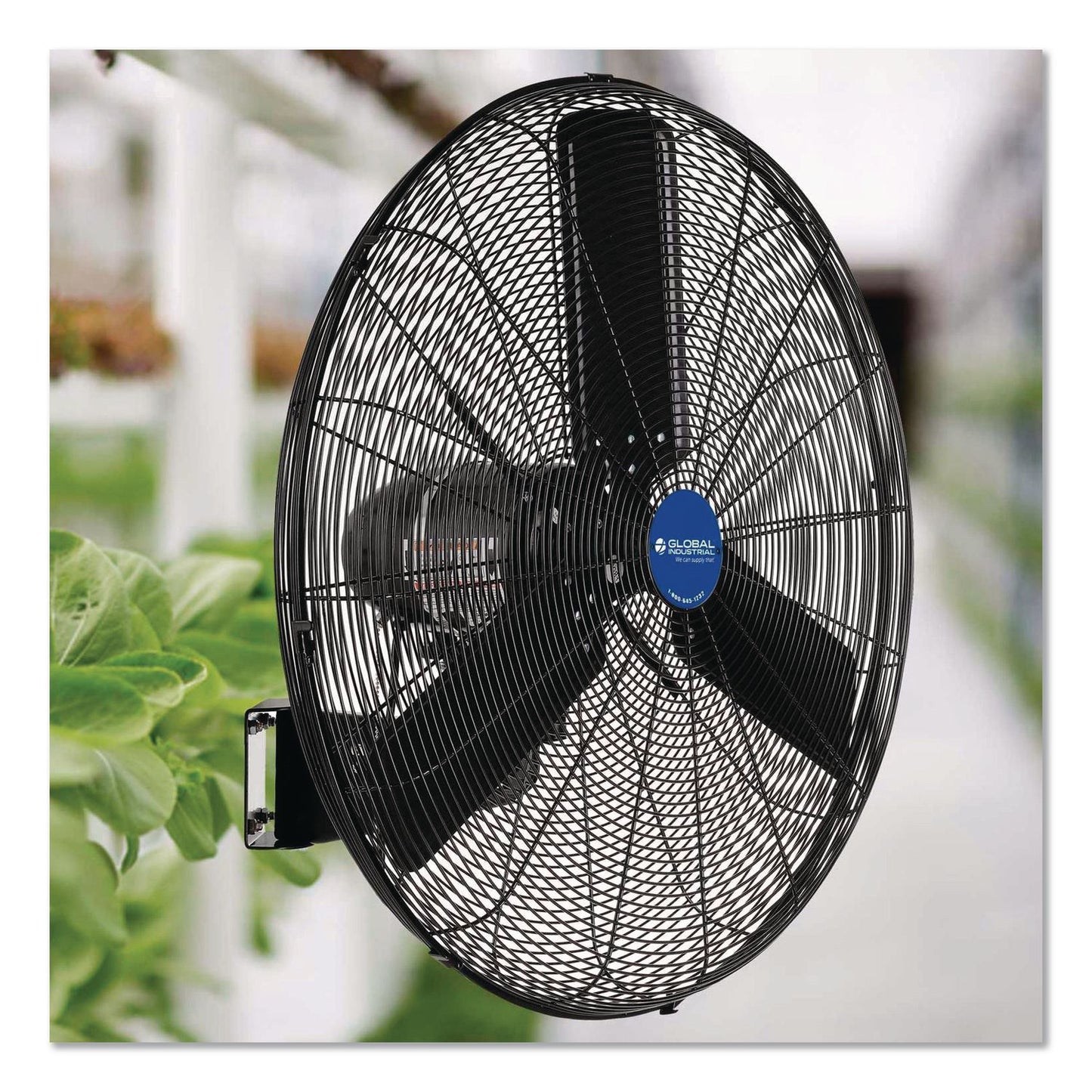 Global Industrial® 2 Speed Oscillating Outdoor Rated Wall Mount Fan, 30", Black (GBE292451)