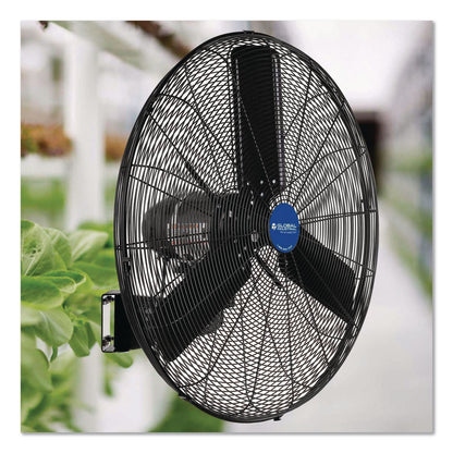 Global Industrial® 2 Speed Oscillating Outdoor Rated Wall Mount Fan, 30", Black (GBE292451)