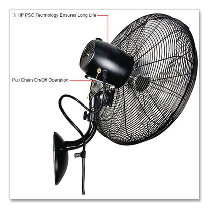 Global Industrial® Industrial Wall Mounted Oscillating Fan, 18", 3 Speeds, Black (GBE293129)