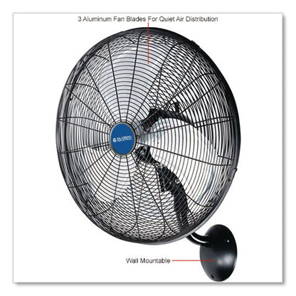 Global Industrial® Industrial Wall Mounted Oscillating Fan, 20", 3 Speeds, Black (GBE293130)