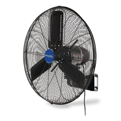 Global Industrial® 2-Speed Oscillating Outdoor Rated Wall Mount Fan, 24", Black (GBE292450)