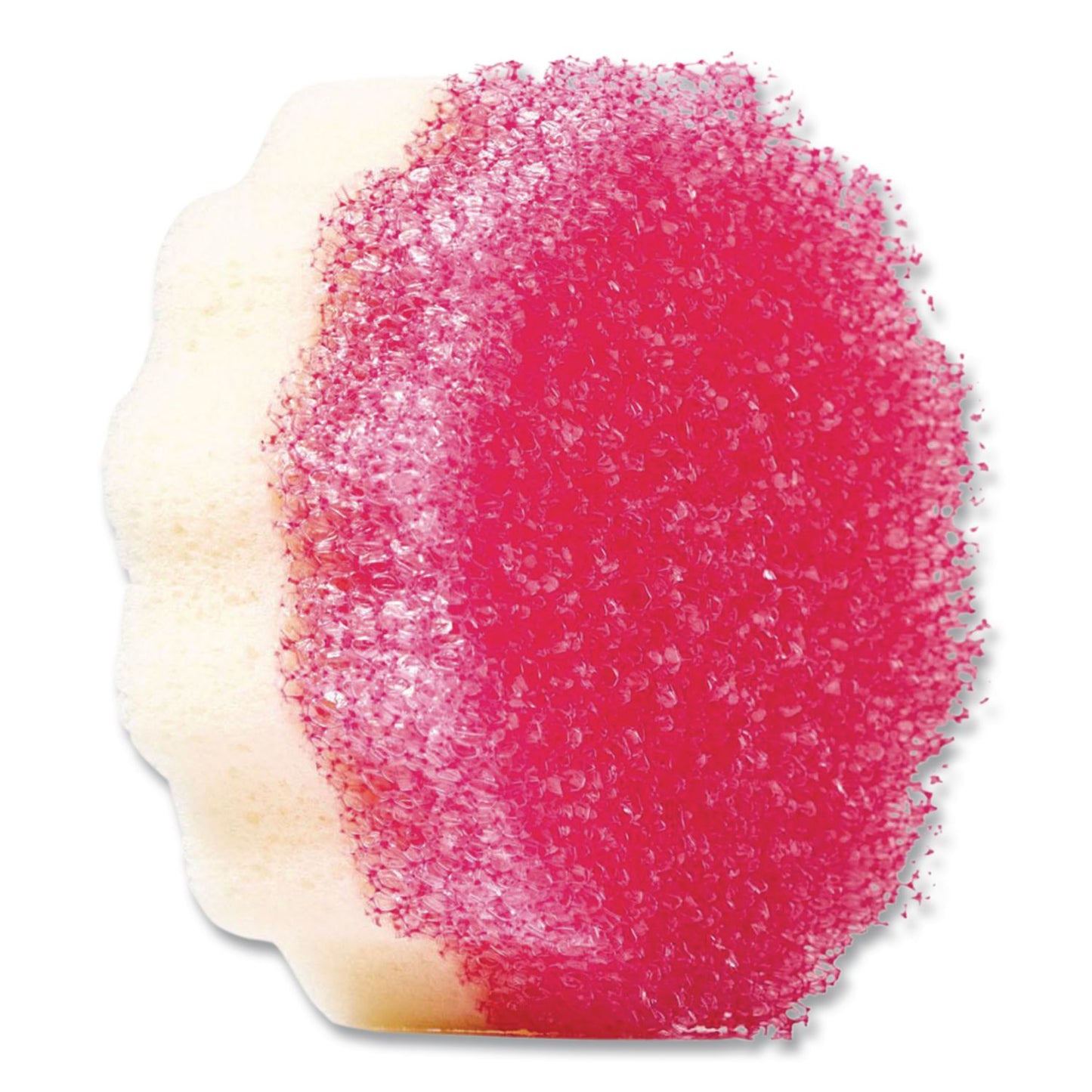 The Pink Stuff Sqeezy Dual Scrubber/Sponge, 4 x 5.3, 3.8" Thick, Pink, 12/Carton (RST823773CT)