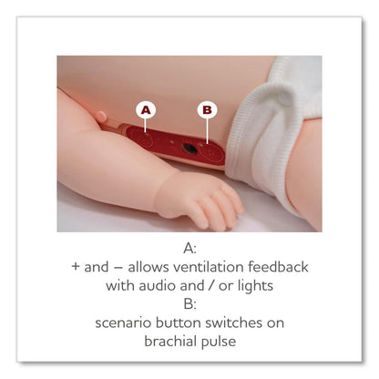 Brayden Brayden PRO Baby Pediatric Feedback Manikin (AOHIM17P)