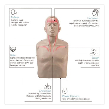 Brayden LED CPR Manikins with Trolley Bag and Four Manikins (AOHIM13R04)