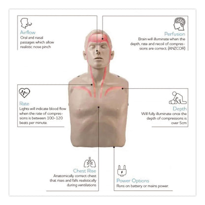 Brayden LED CPR Manikins with Trolley Bag and Four Manikins (AOHIM13R04)