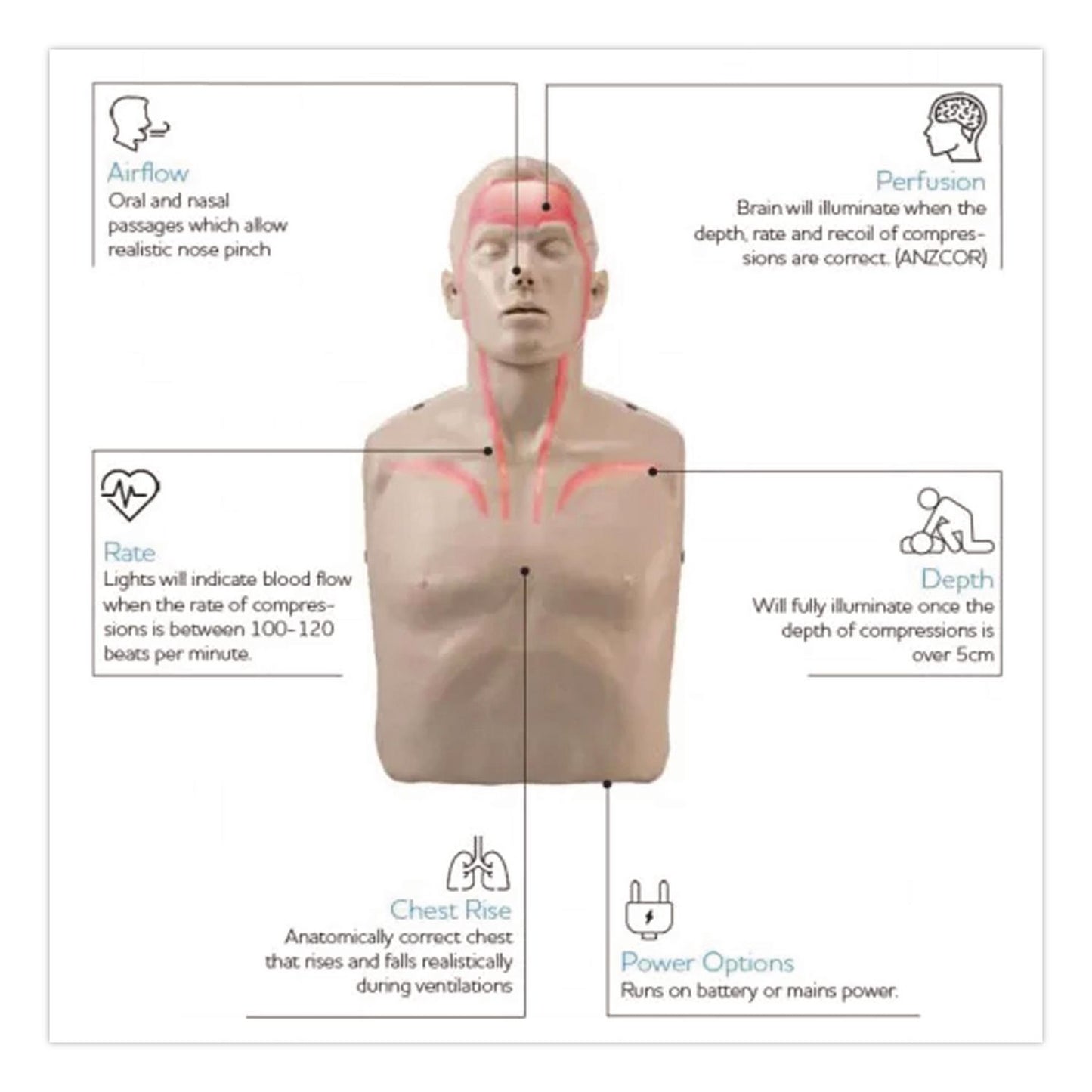 Brayden Brayden LED CPR Manikin with Blood Flow Circulation (Red Lights) (AOHIM13R)