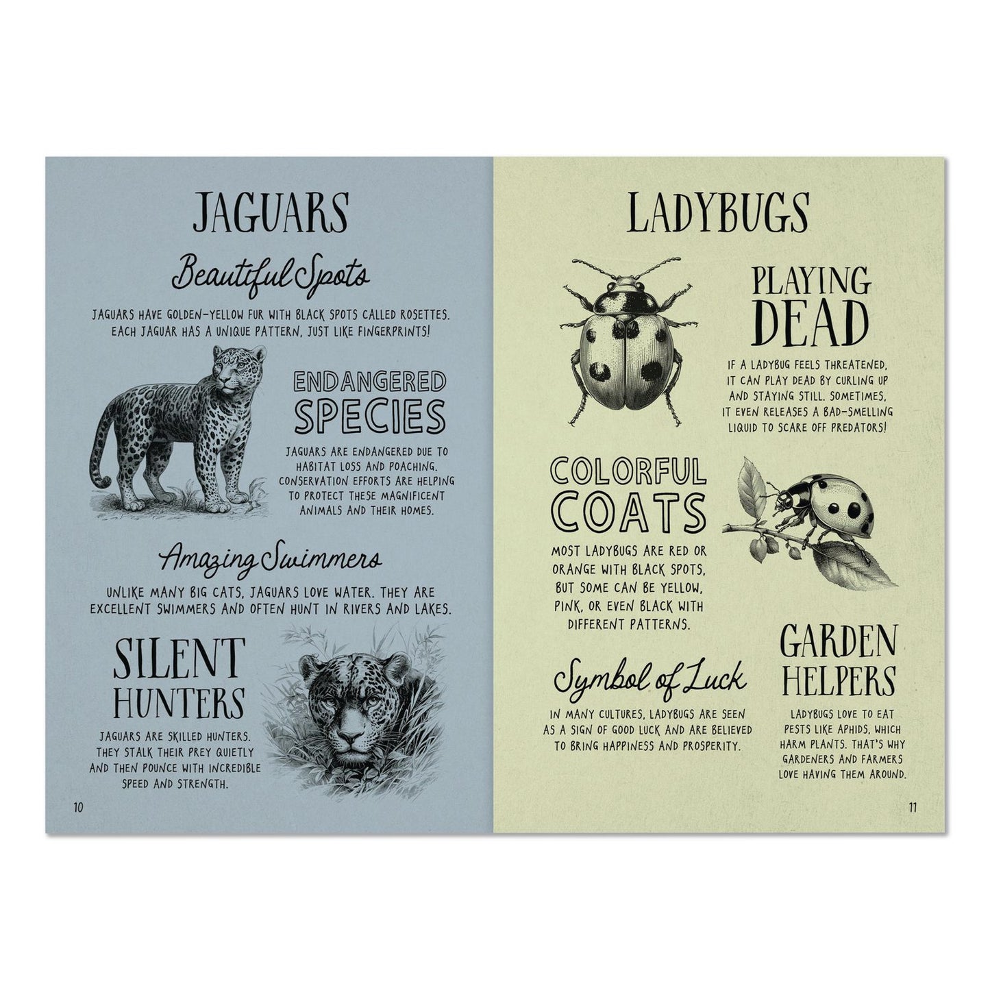 Willow Creek Press Animal Facts for Kids Softcover Book, Paperback, 112 Pages (WPR49908)