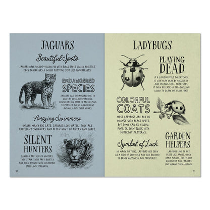 Willow Creek Press Animal Facts for Kids Softcover Book, Paperback, 112 Pages (WPR49908)